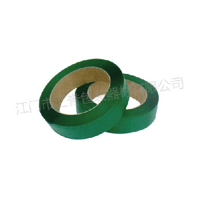 PET plastic steel strip